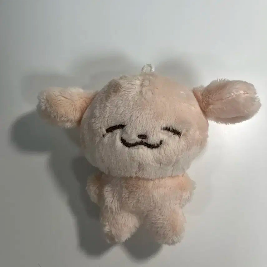 엔시티 드림 포켓젠 제노 인형