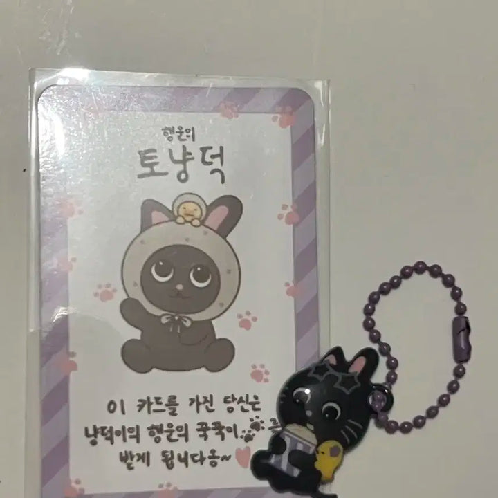 라이즈 팝업 리라즈 원빈 토냥덕 풍선 럭키카드 말랑키링