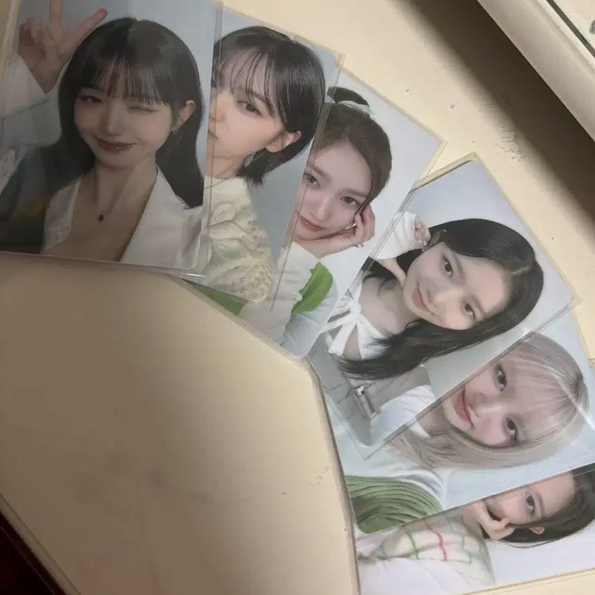 파파존스 아이브 포카 일괄