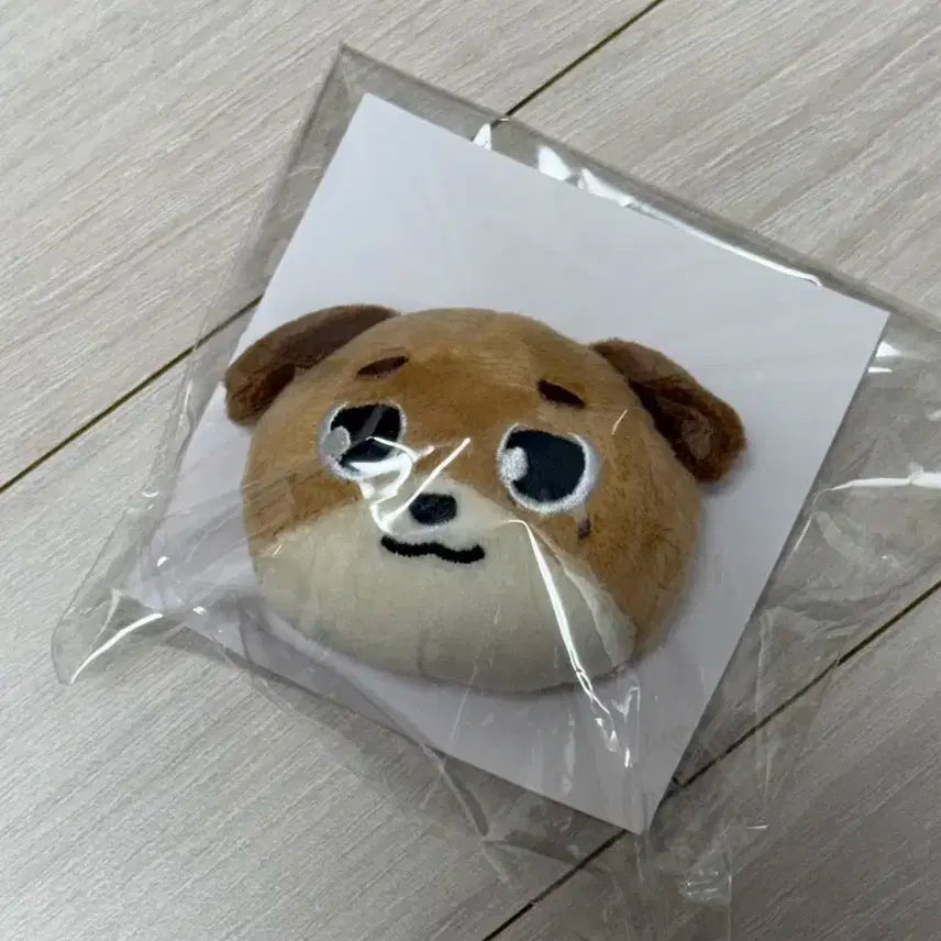 데이식스 일본 콘서트 MD 뱃지 돈