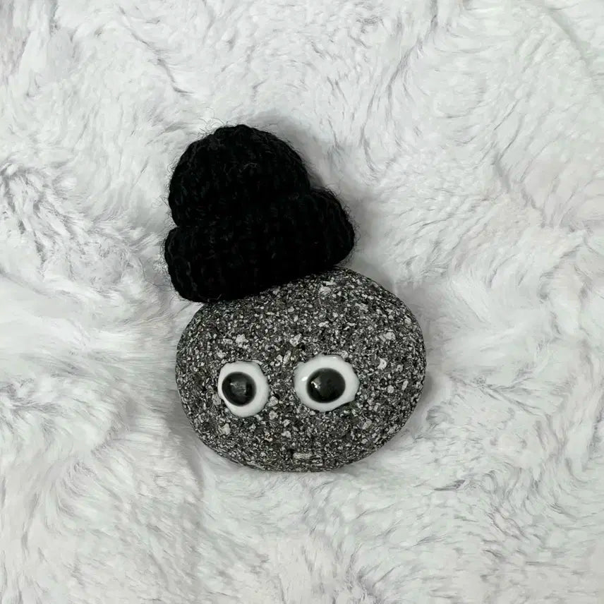 애완돌 크래비티 태영 김태영 애완 돌멩이 비니 김스테파니 스테파니