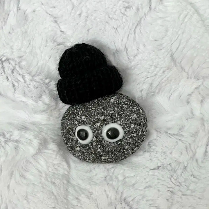 애완돌 크래비티 태영 김태영 애완 돌멩이 비니 김스테파니 스테파니