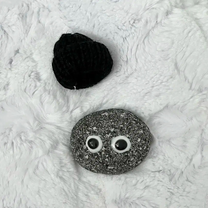 애완돌 크래비티 태영 김태영 애완 돌멩이 비니 김스테파니 스테파니