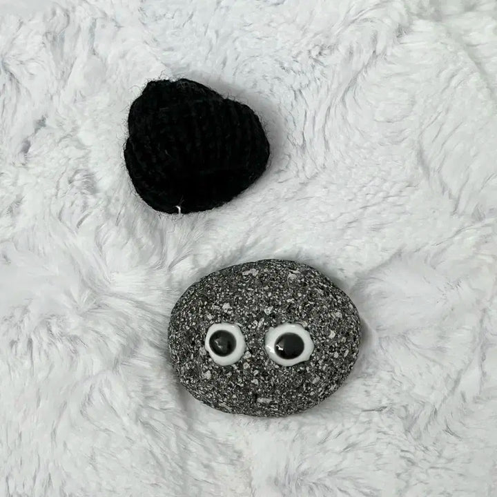 애완돌 크래비티 태영 김태영 애완 돌멩이 비니 김스테파니 스테파니