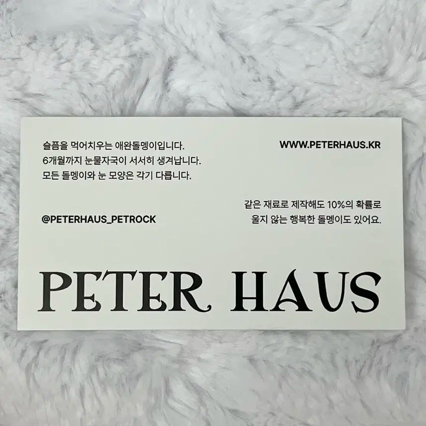 애완돌 크래비티 태영 김태영 애완 돌멩이 비니 김스테파니 스테파니