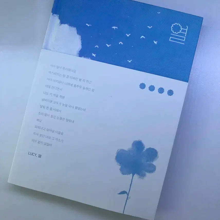 루시 부기맨 열 앨범 판매