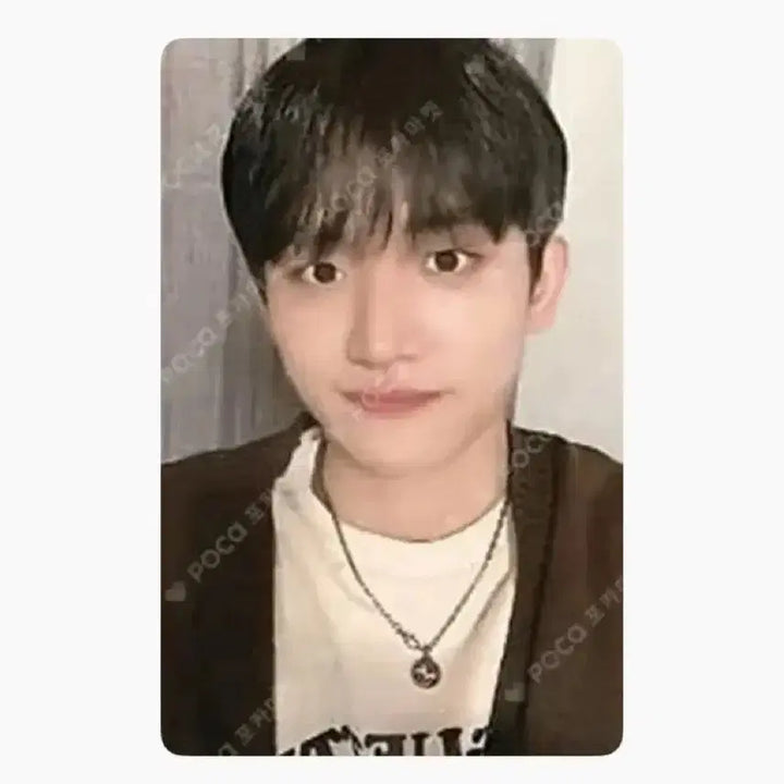 루시 굿즈 포카 비공굿 양도 처분합니다!