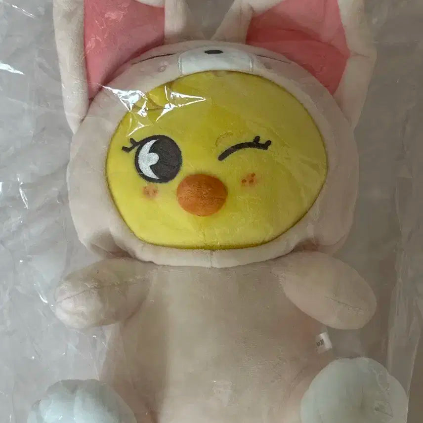 스키주 일본엠디 양도