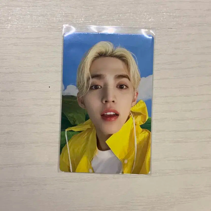 세븐틴 음악의신 캐럿반 에스쿱스