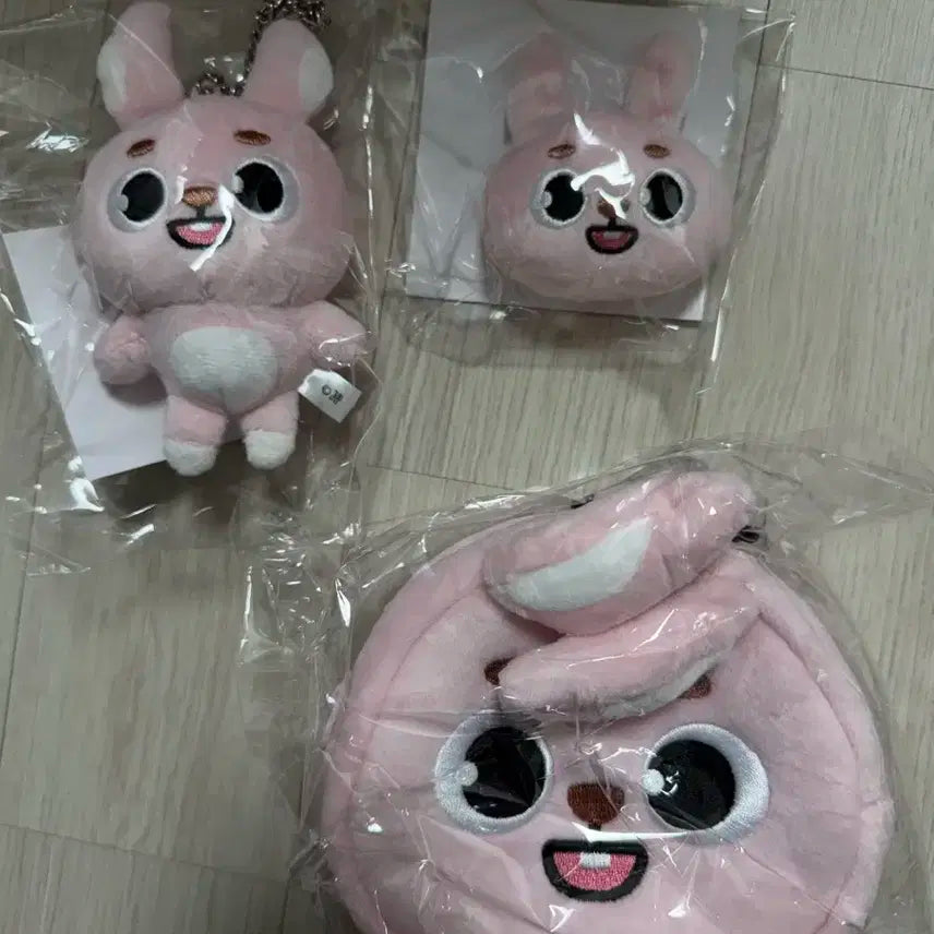 데이식스 일본 엠디 필끼 양도