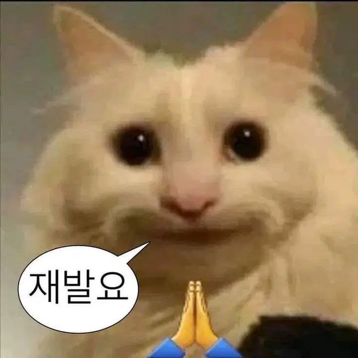 세븐틴 인더숲 인형