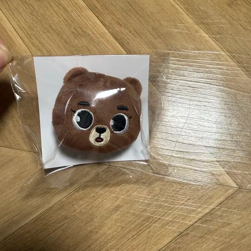 데이식스 일본 뱃지 방이