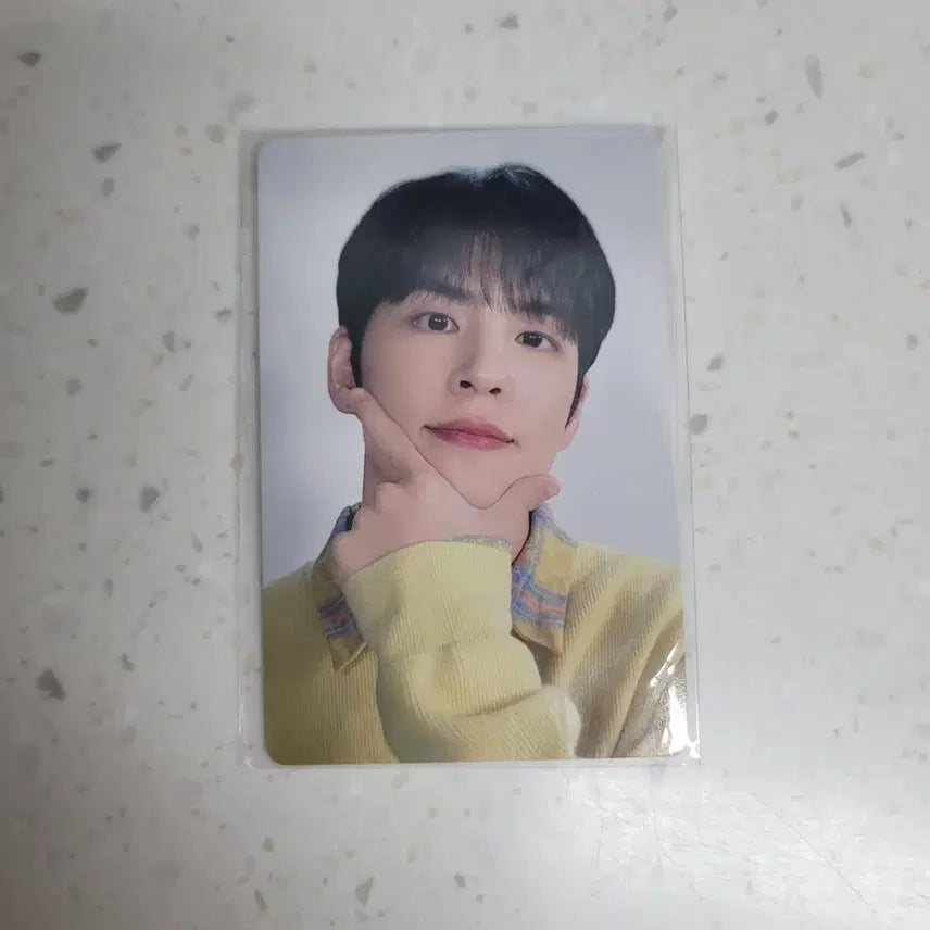 데이식스 일본 포카