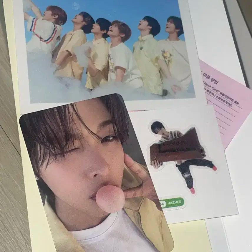 nct wish 엔시티 위시 리쿠 포카 riku