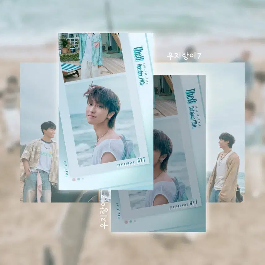 (SVT) 세븐틴 STF 포토카드 비공굿 디에잇