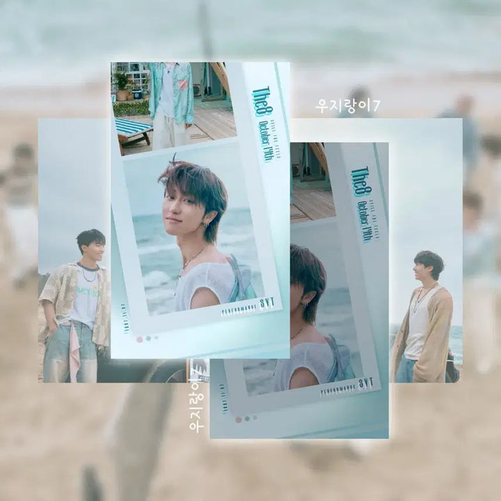 (SVT) 세븐틴 STF 포토카드 비공굿 디에잇