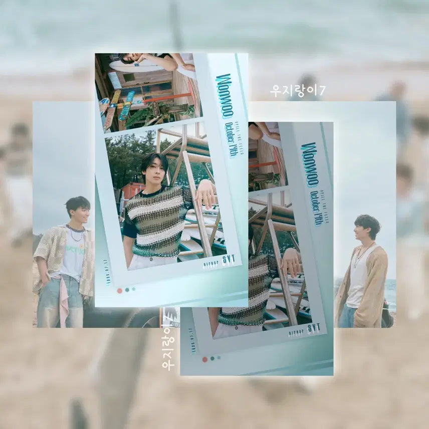 (SVT) 세븐틴 STF 비공굿 포토카드 원우