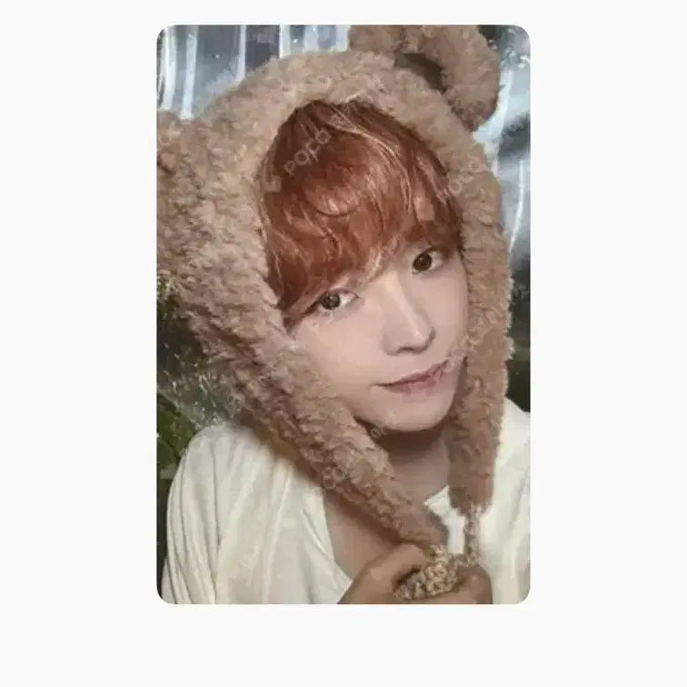 엔시티 위시 유우시 일본 멤버쉽 곰돌이 포토카트 포카