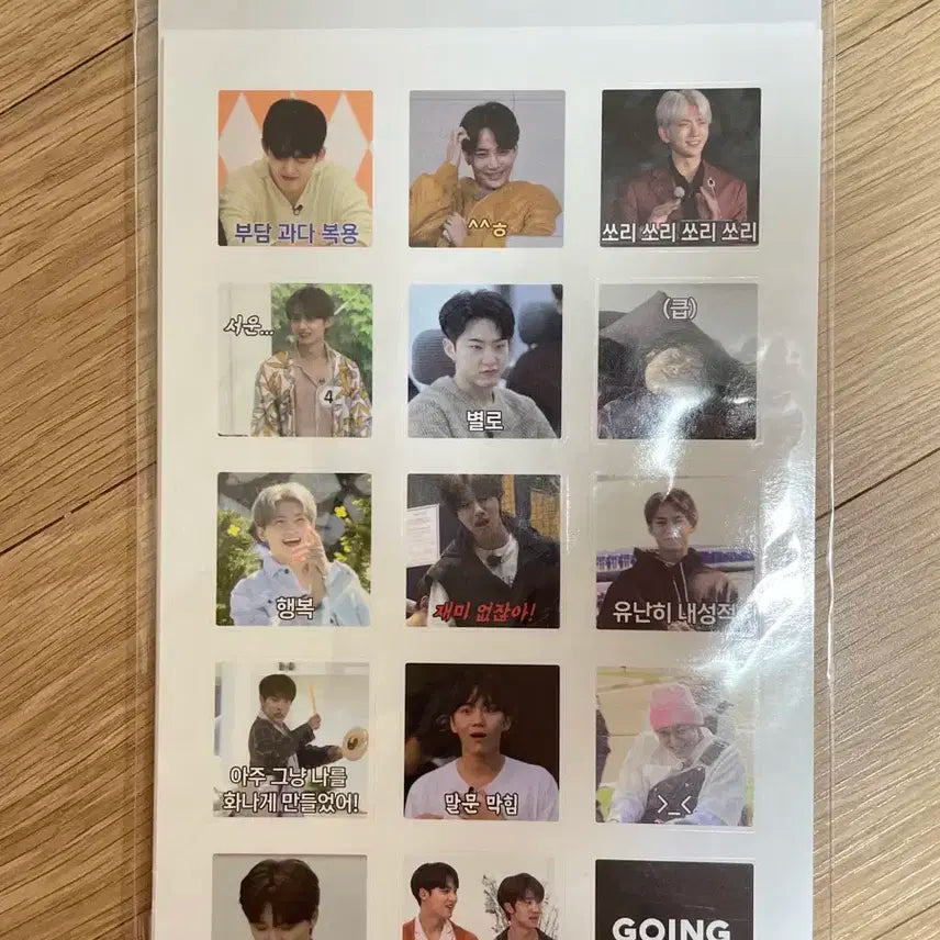 세븐틴 스티커 세트 위버스스티커 세트 고잉세븐틴 스티커