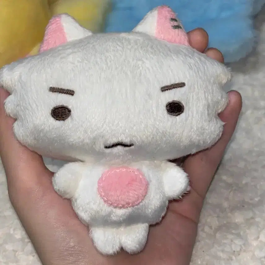 플브쮸 으노쮸 새상품 양도합니당 플레이브 비공굿