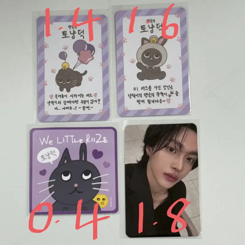 라이즈 팝업 원빈 포카