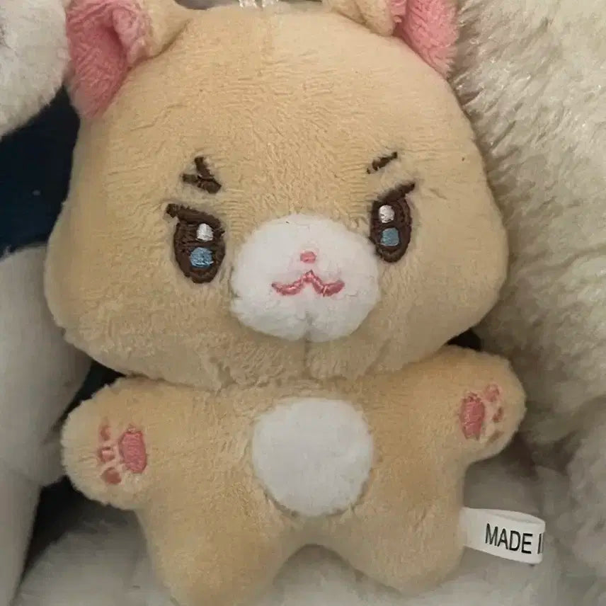 샤이니 키 기범 햄스터 인형 기뵤