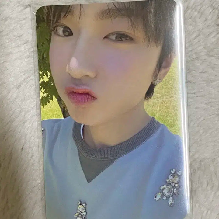 엔시티 위시 리쿠 료 시온 사쿠야 유우시 포카