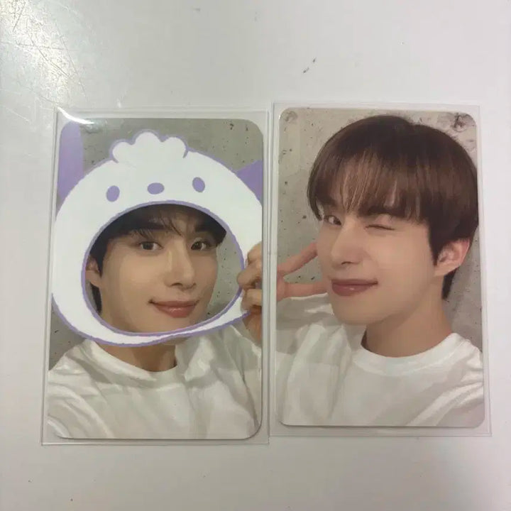 엔시티 정우 산리오 포카 판매