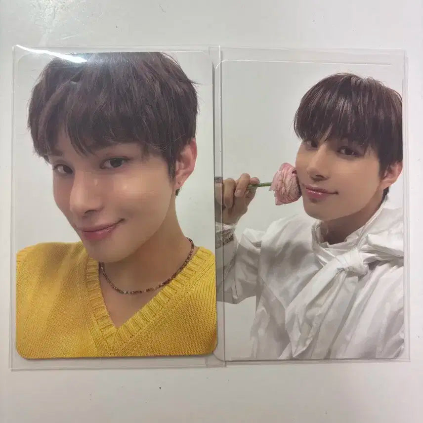 엔시티 정우 퍼퓸 포카 일괄 판매