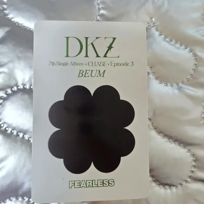 재찬포카 dkz beum앨범포카