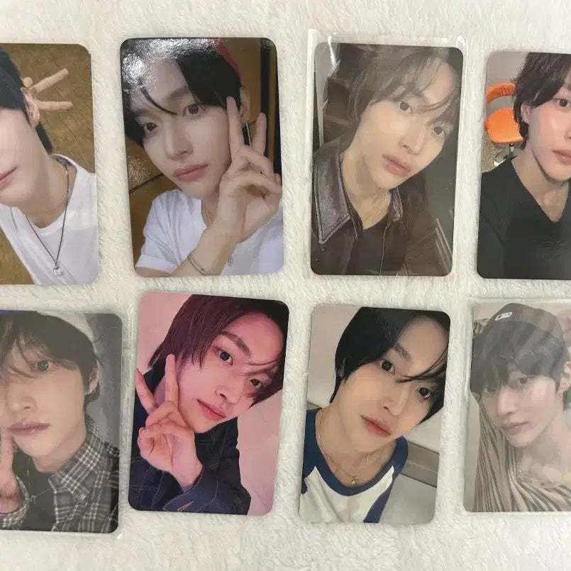 라이즈 원빈 미공포 8종 세트 일괄