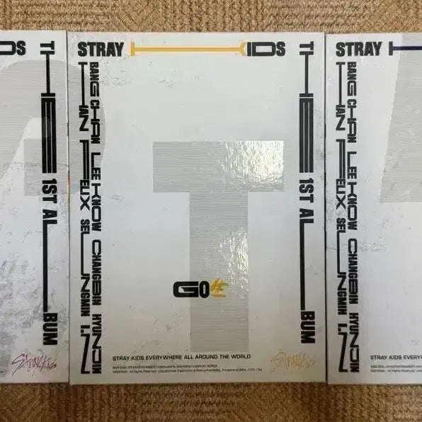 스트레이키즈 고생 일괄 앨범