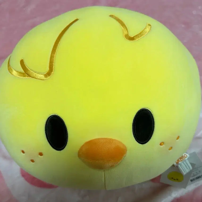 베이비 스키주 뽁아리 페이스쿠션