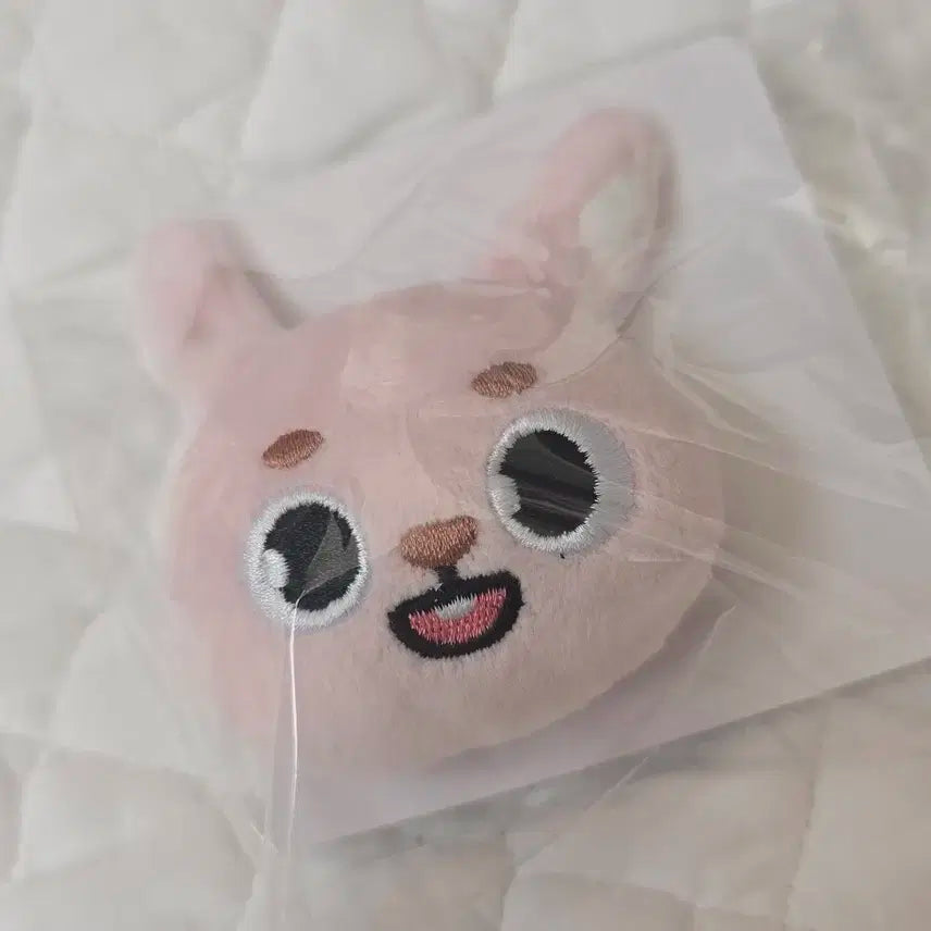 데이식스 데니멀즈 토이뱃지 원필  필끼