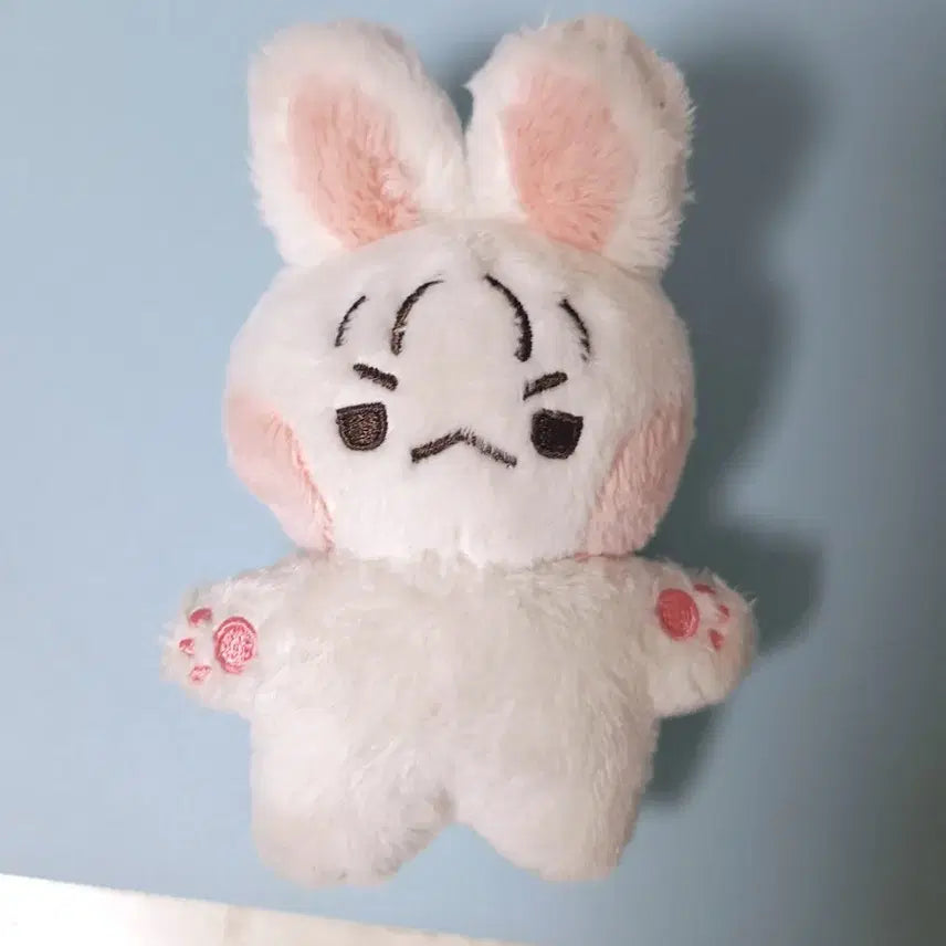 이창섭 10cm 솜인형 섭깽이