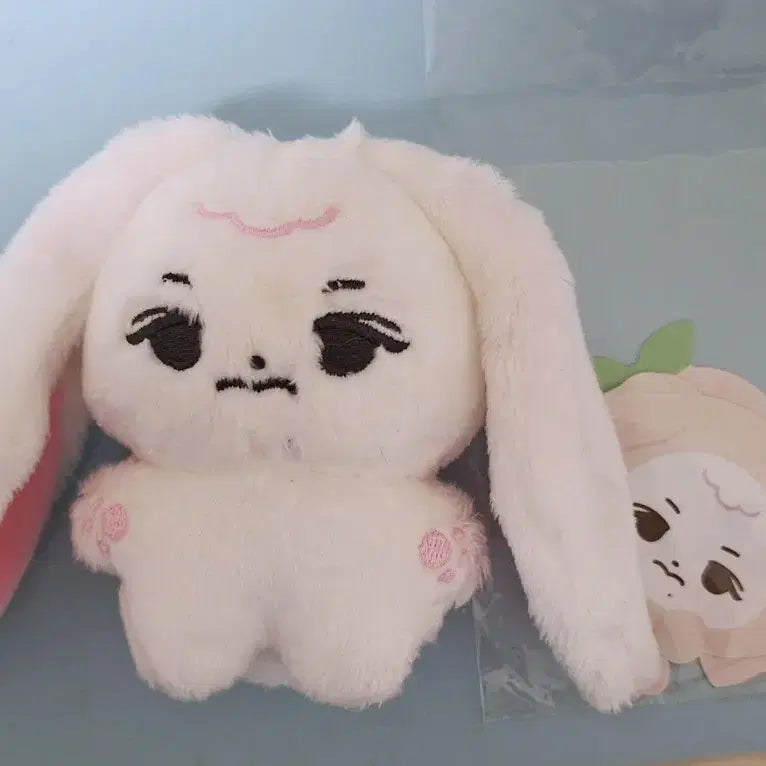 이창섭 10cm 솜인형 찹콩 콩투비