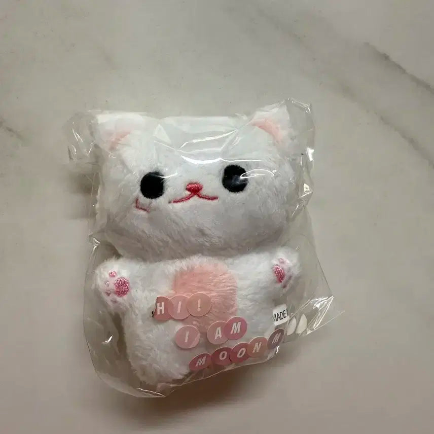 문애옹 양도