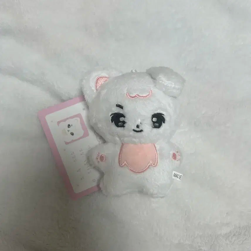 더보이즈 현재 솜인형 양도해요