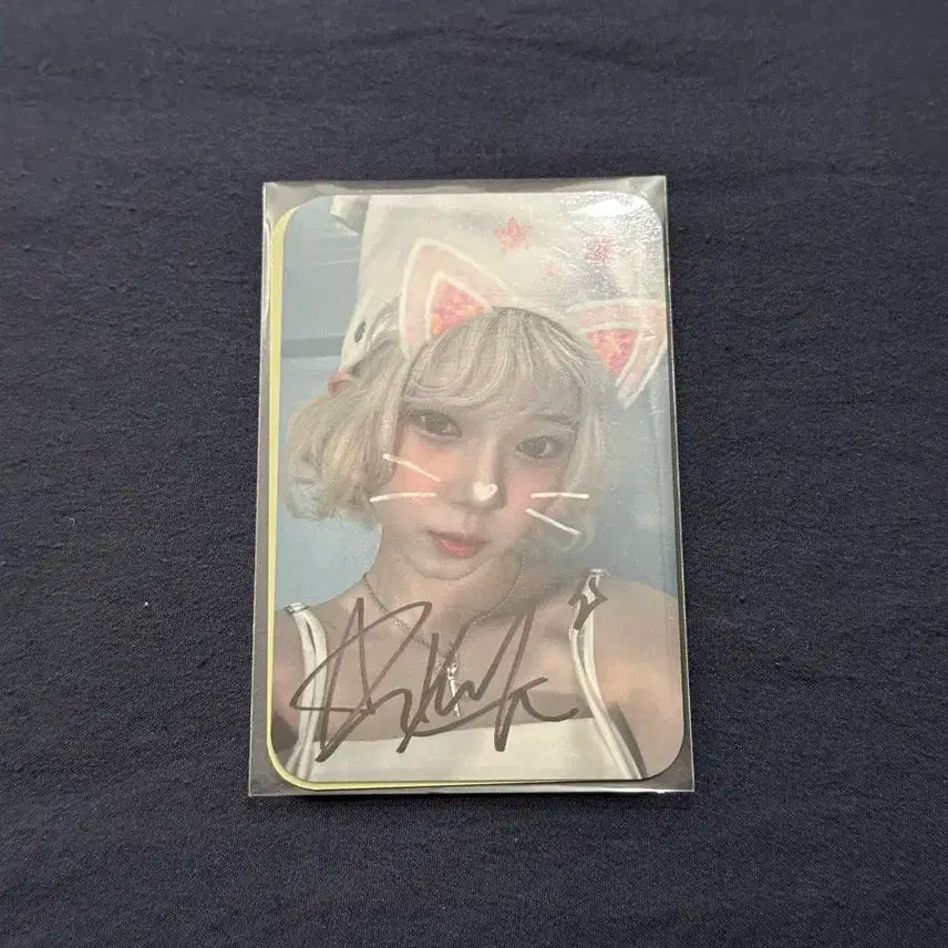 유니스 코토코 SWICY 공방 싸인포카