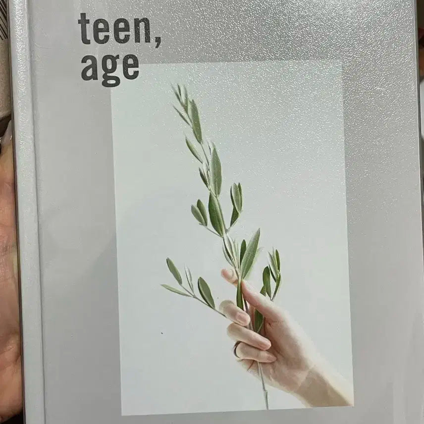 세븐틴 박수 화이트 앨범 판매