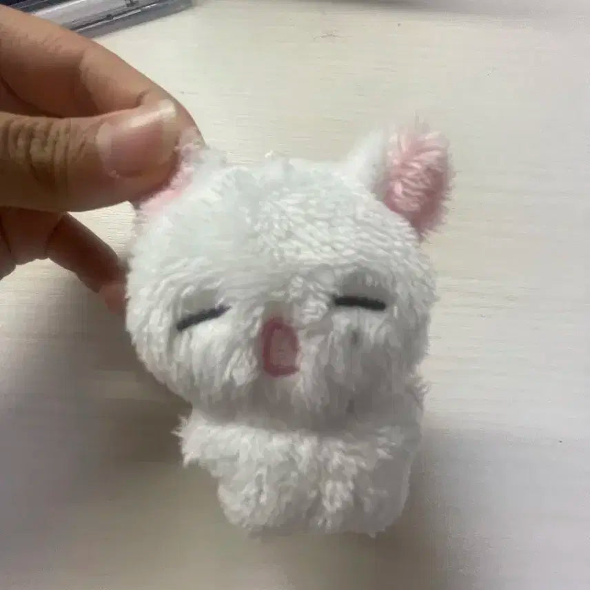 짱누누 팝니다!