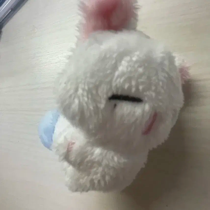 짱누누 팝니다!