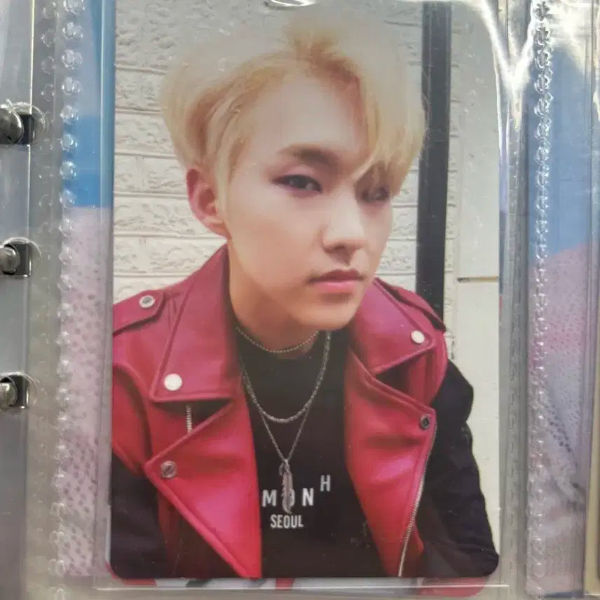 세븐틴 호시