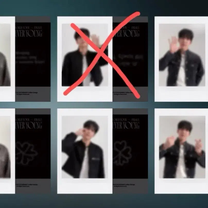 데이식스 4만원 포카 영현 영케이 원필 도운 판매