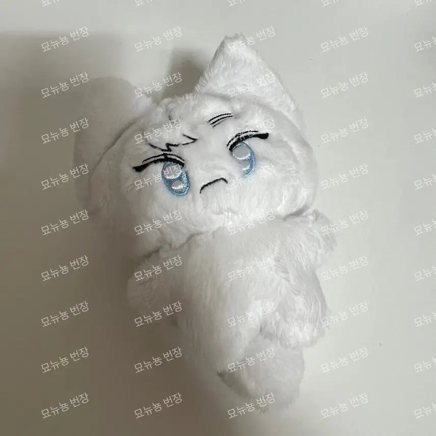 플레이브 노아 인형 한모야 한노노
