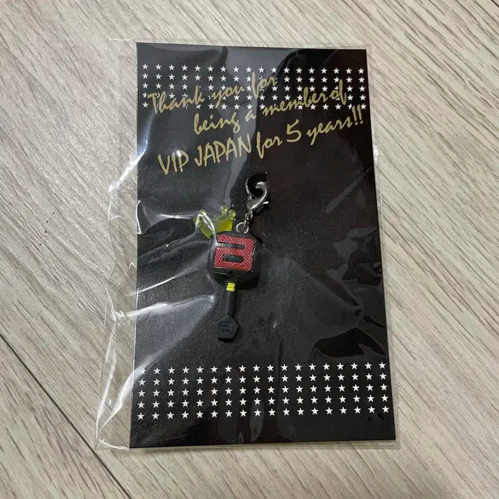 빅뱅 일본 공식 팬클럽 굿즈 일본 뱅봉 키링 키참