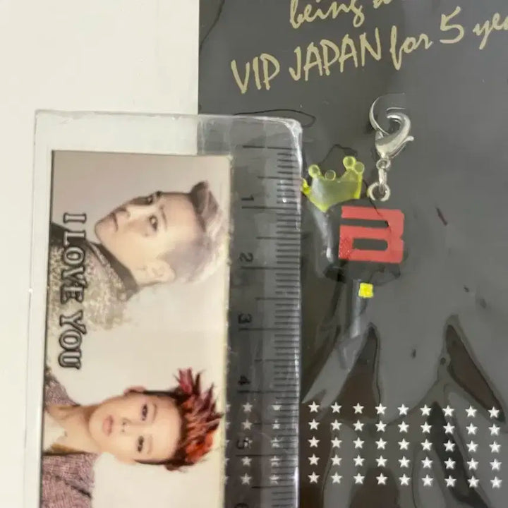 빅뱅 일본 공식 팬클럽 굿즈 일본 뱅봉 키링 키참