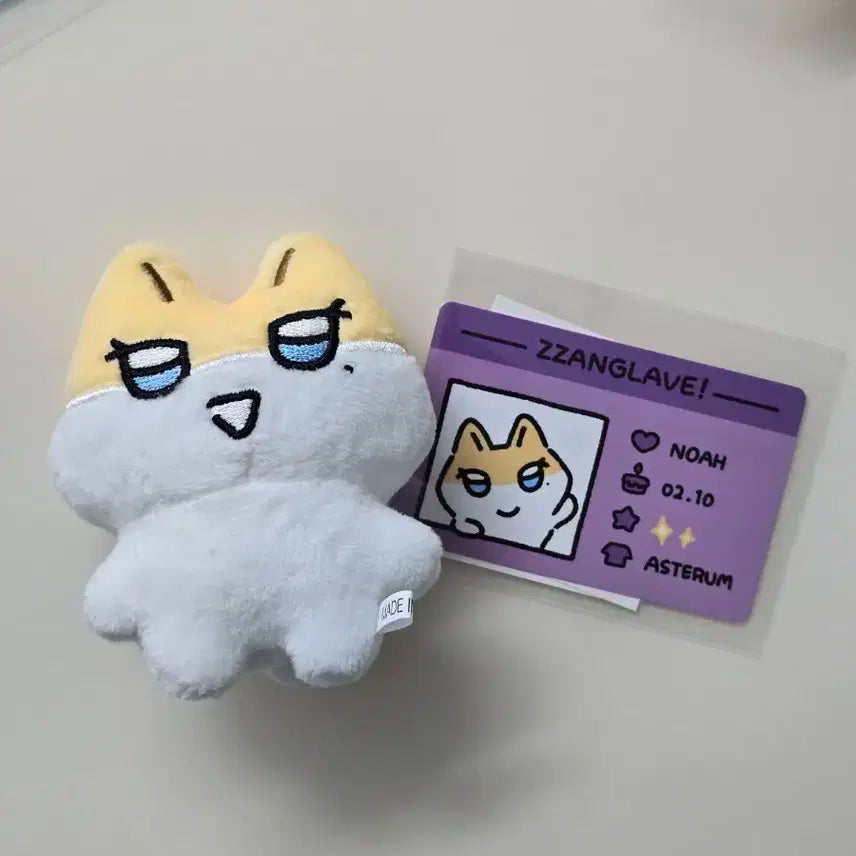 짱레이브 노아