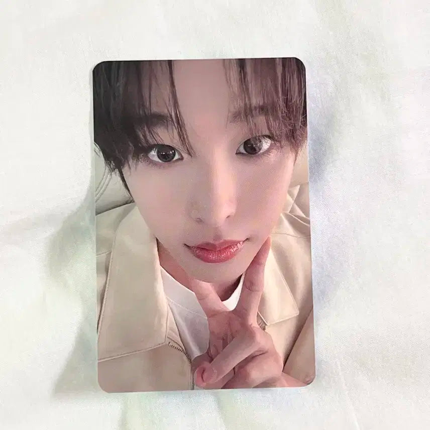 엔시티위시 팝팝 디마뮤 리쿠 럭드포카 양도 럭키드로우 디어마이뮤즈