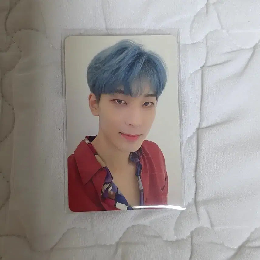 세븐틴 원우 폴플 캐럿반 Fallin' Flower